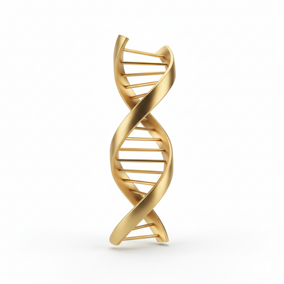 - The Science Behind the NYDER Formulation
